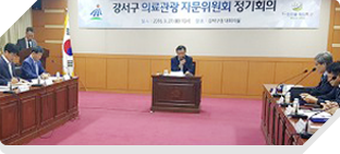 강서구 의료관광 자문위원회 정기회의